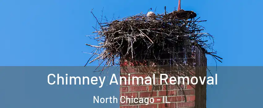 Chimney Animal Removal North Chicago - IL