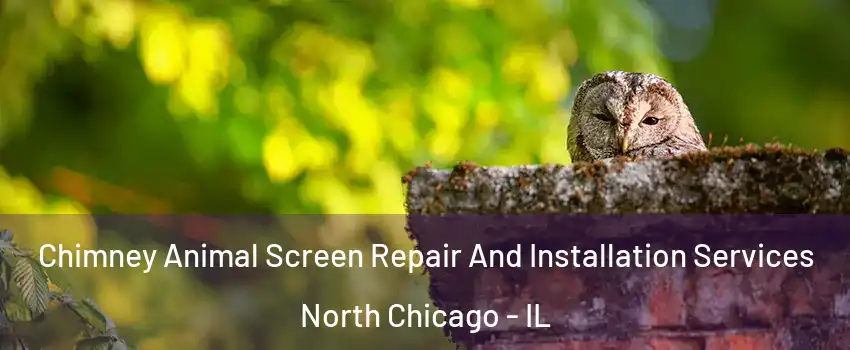  Chimney Animal Screen Repair And Installation Services North Chicago - IL