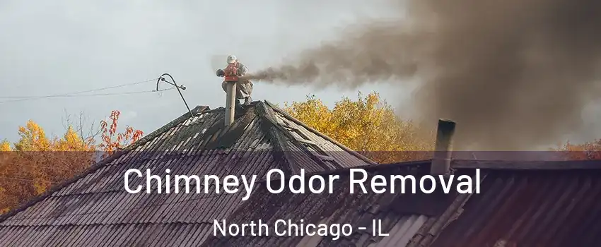  Chimney Odor Removal North Chicago - IL
