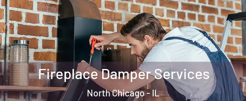  Fireplace Damper Services North Chicago - IL