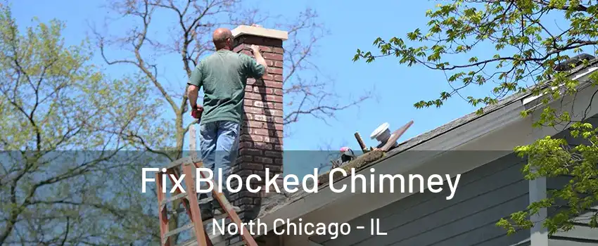  Fix Blocked Chimney North Chicago - IL