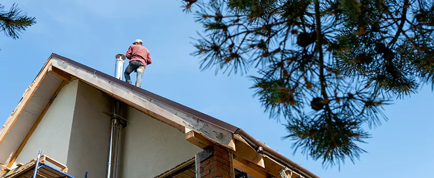 Birds Removal Contractors from Chimney in North Chicago, IL