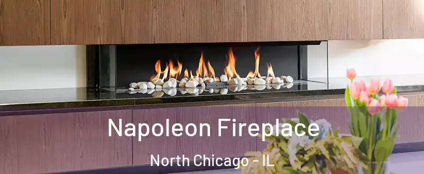  Napoleon Fireplace North Chicago - IL